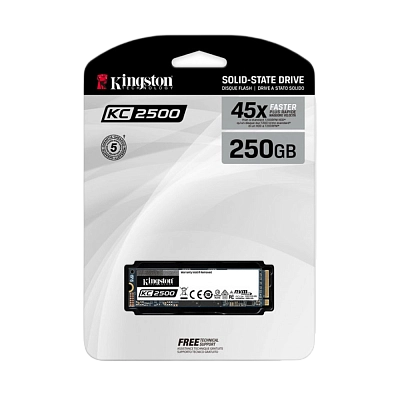 Kingston-SSD 250 GB NVME